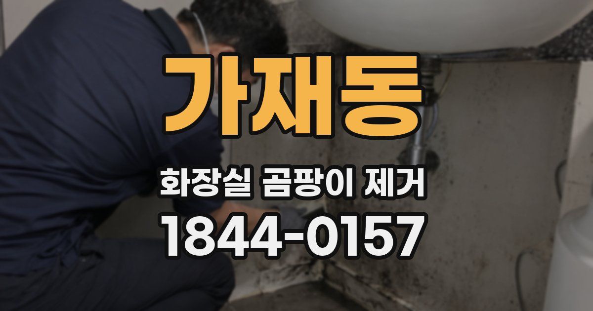 가재동 화장실 곰팡이 제거