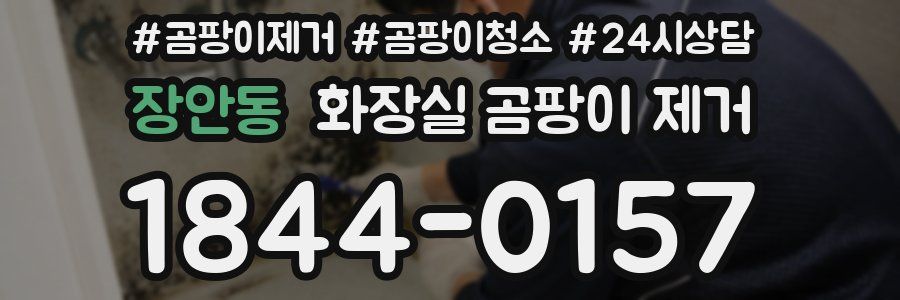 장안동 화장실 곰팡이 제거