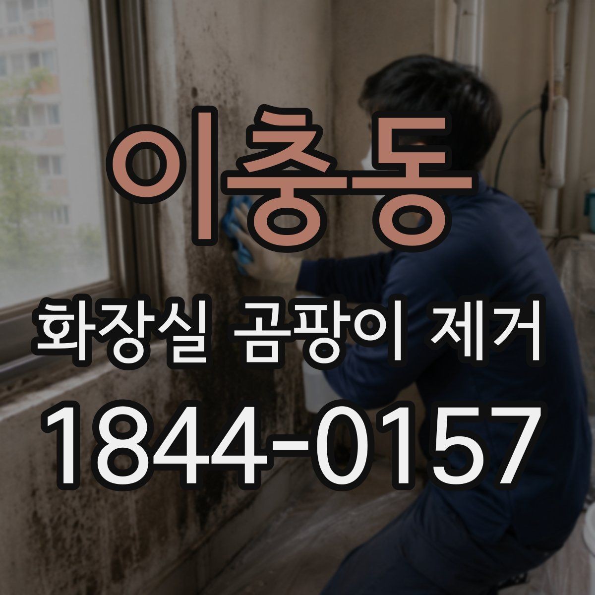 이충동 화장실 곰팡이 제거 브러시와 스펀지 사용 차이 알아보기