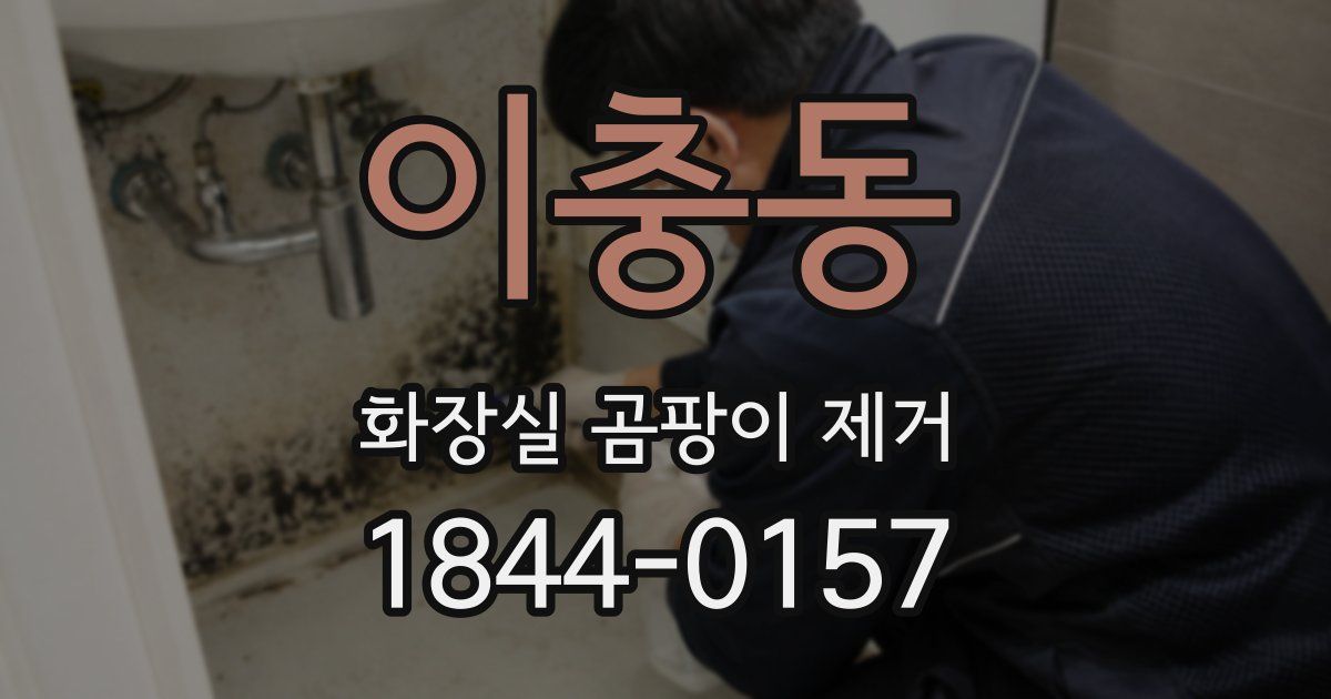 이충동 화장실 곰팡이 제거