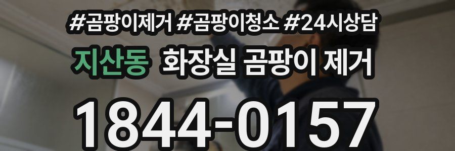 지산동 화장실 곰팡이 제거