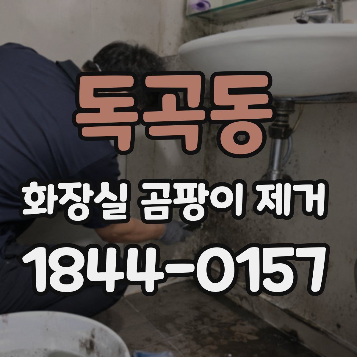 독곡동 화장실 곰팡이 제거 변기 근처 검은곰팡이 먼저 살피는 방법