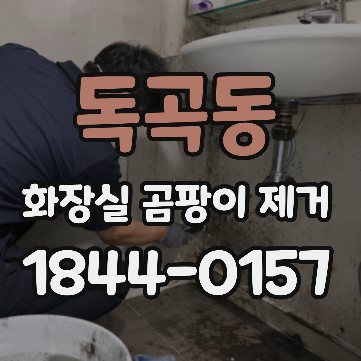 독곡동 화장실 곰팡이 제거