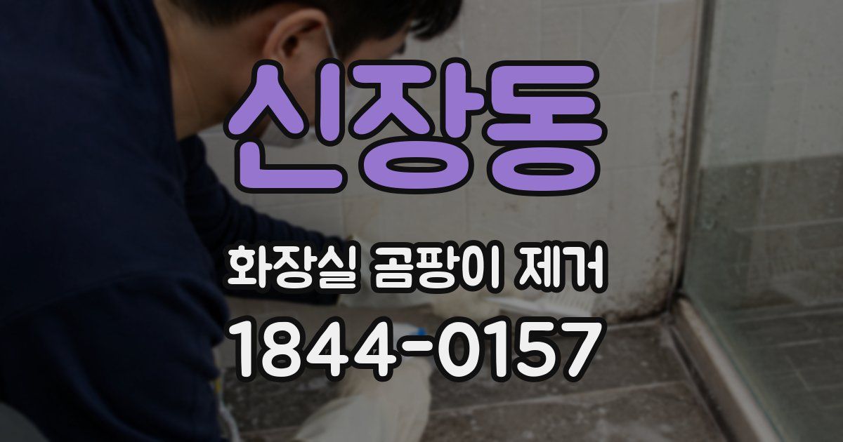 신장동 화장실 곰팡이 제거