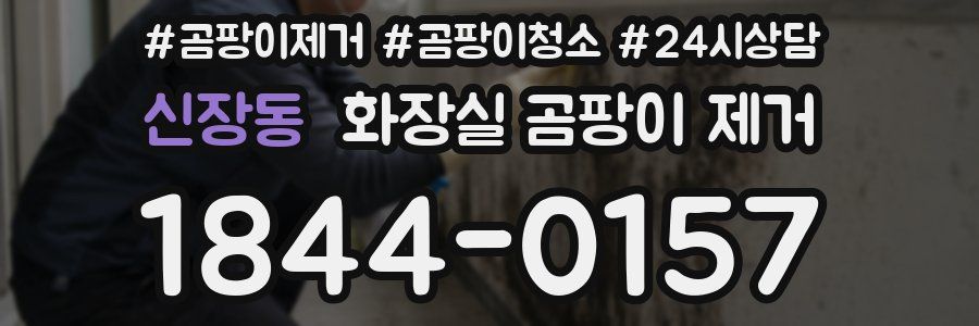 신장동 화장실 곰팡이 제거