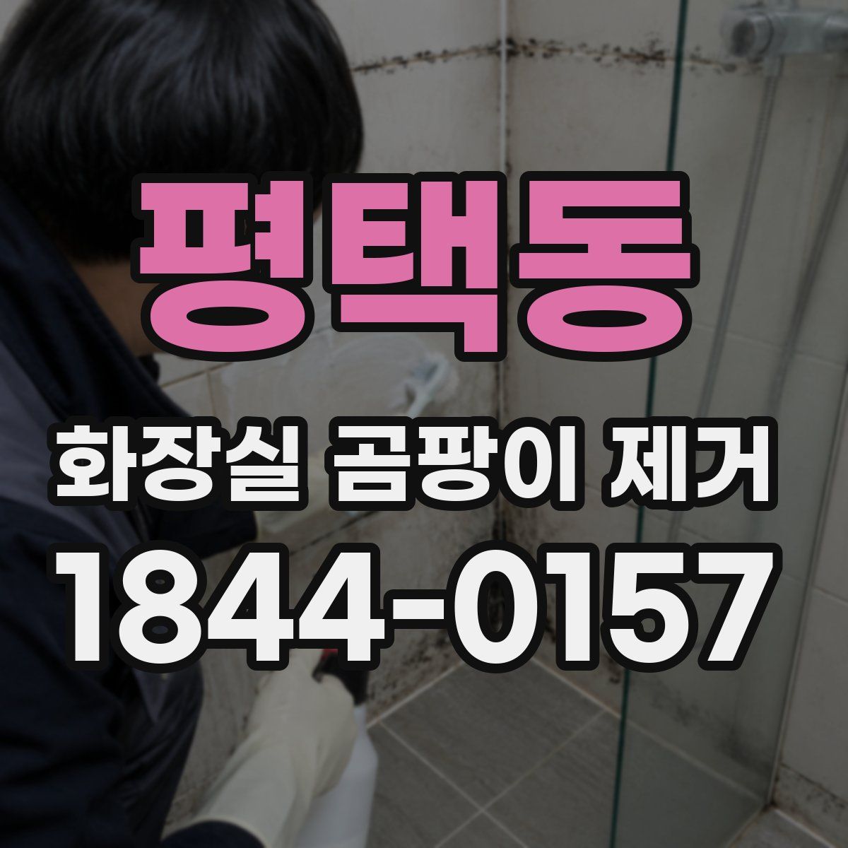 평택동 화장실 곰팡이 제거