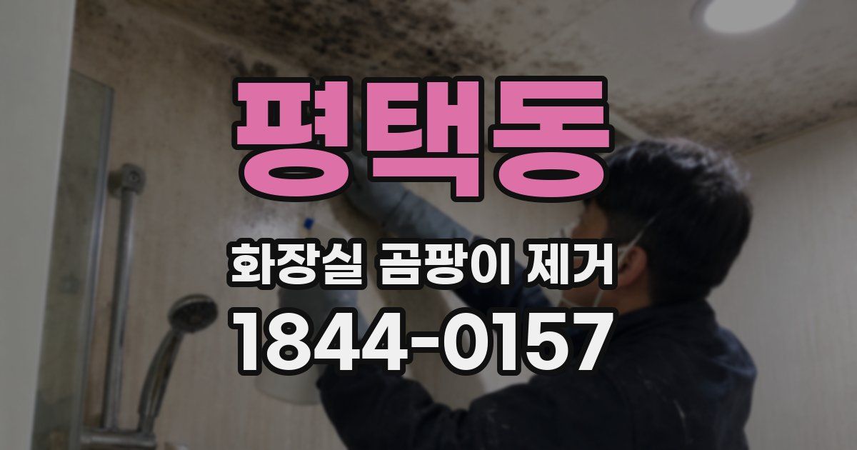 평택동 화장실 곰팡이 제거