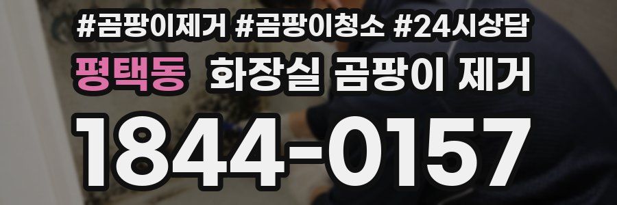 평택동 화장실 곰팡이 제거