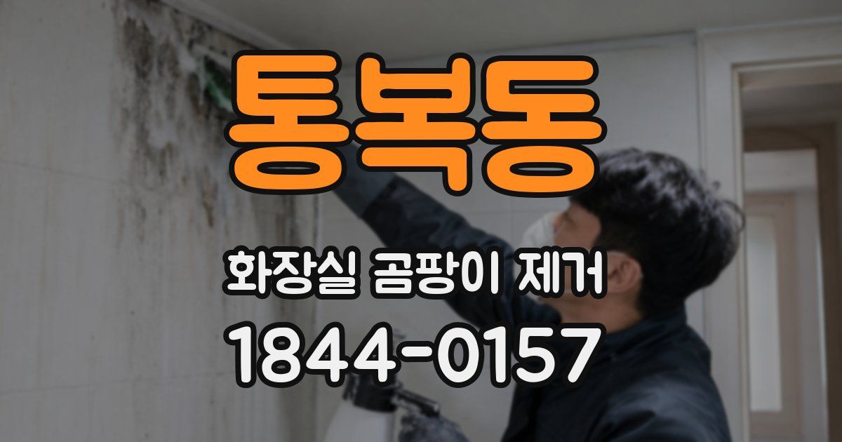 통복동 화장실 곰팡이 제거
