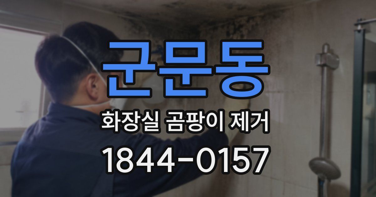 군문동 화장실 곰팡이 제거