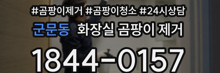 군문동 화장실 곰팡이 제거
