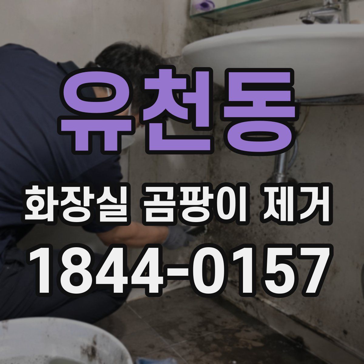 유천동 화장실 곰팡이 제거