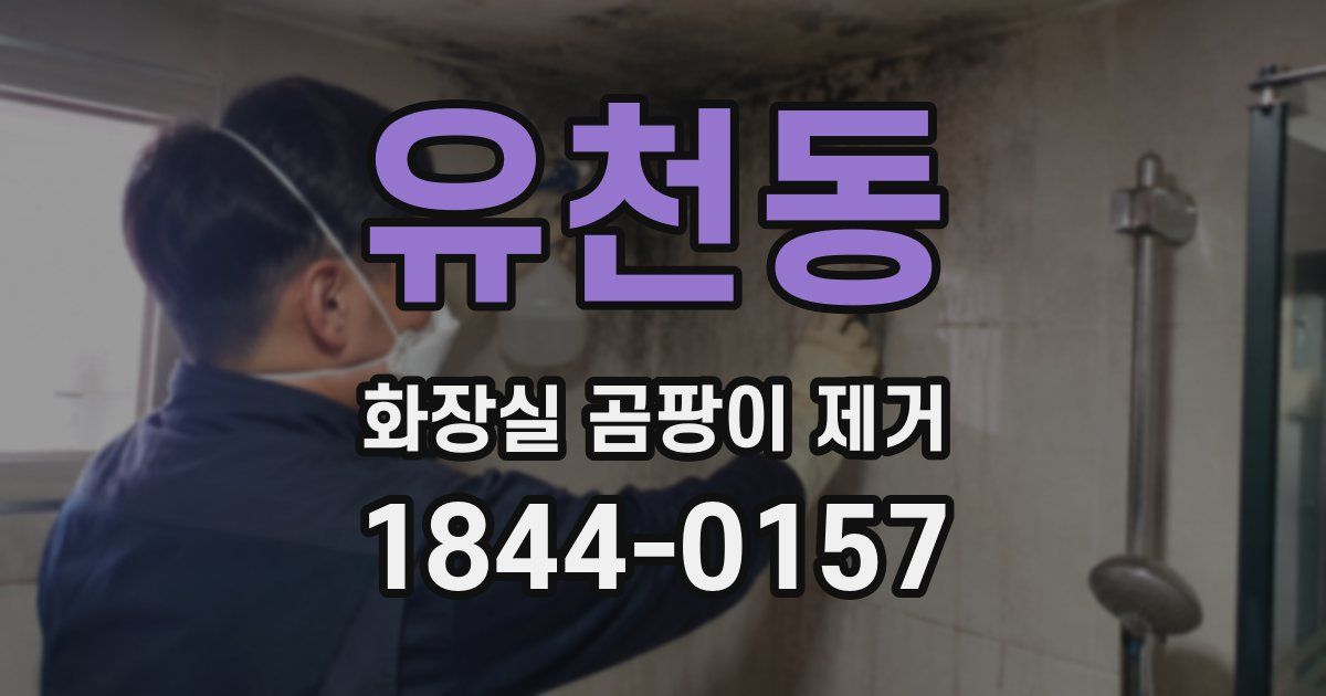 유천동 화장실 곰팡이 제거