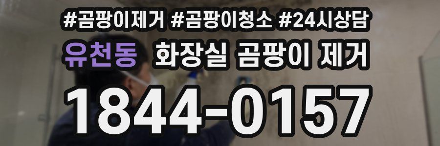 유천동 화장실 곰팡이 제거