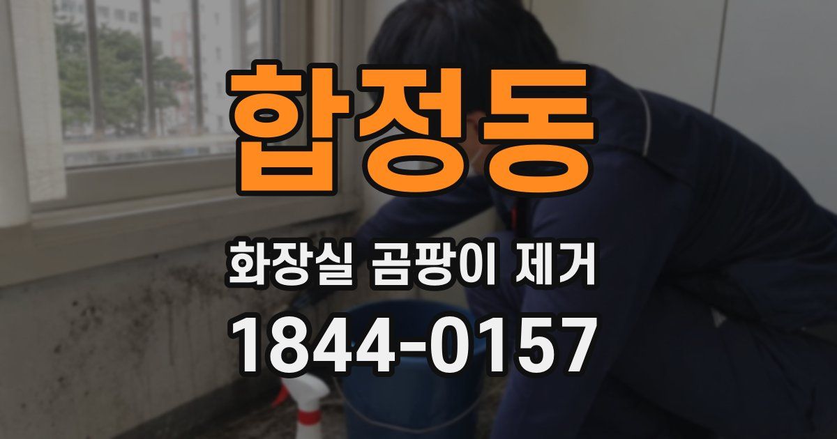 합정동 화장실 곰팡이 제거