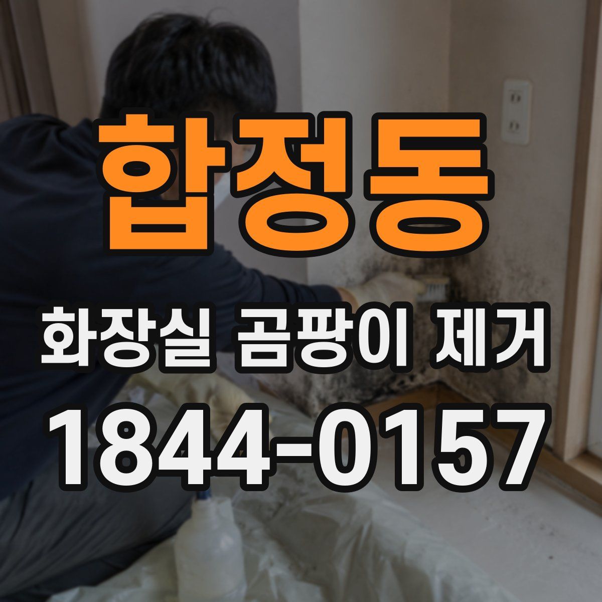 합정동 화장실 곰팡이 제거