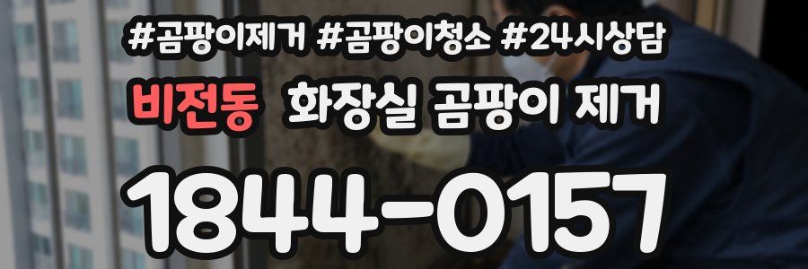 비전동 화장실 곰팡이 제거