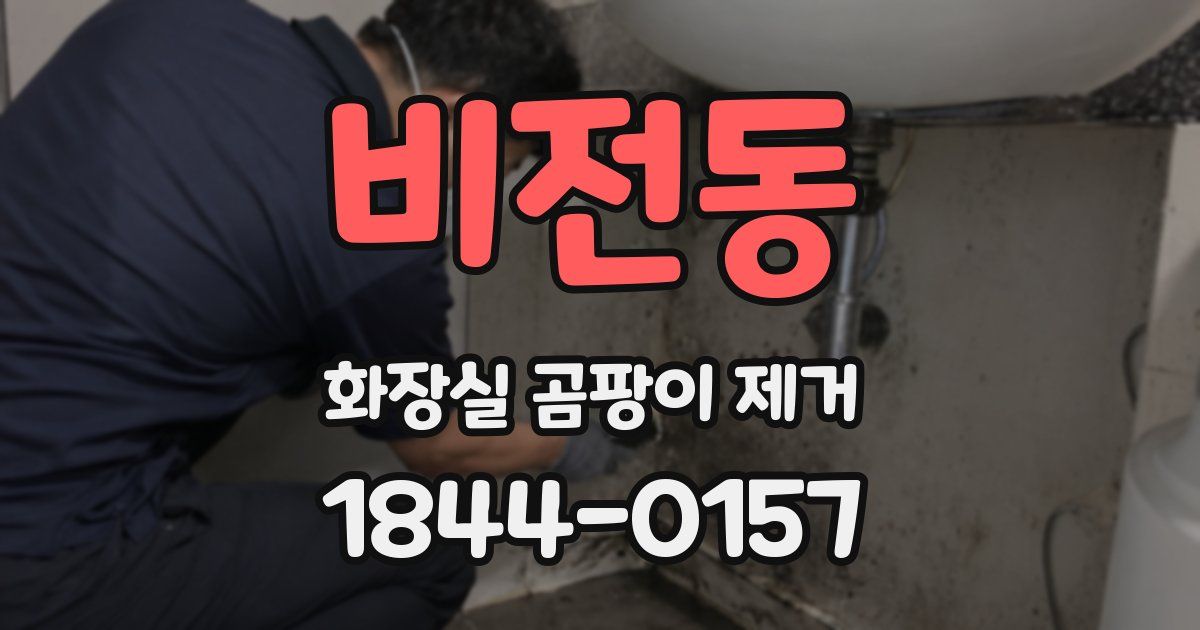비전동 화장실 곰팡이 제거