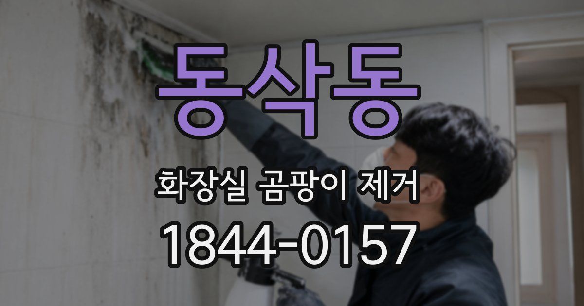 동삭동 화장실 곰팡이 제거