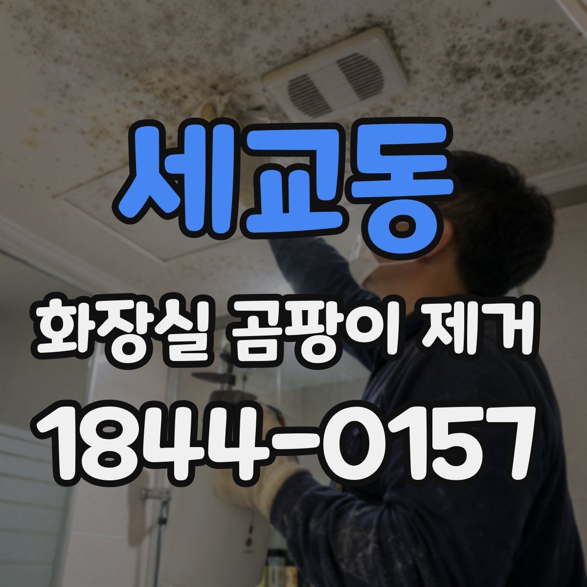 세교동 화장실 곰팡이 제거