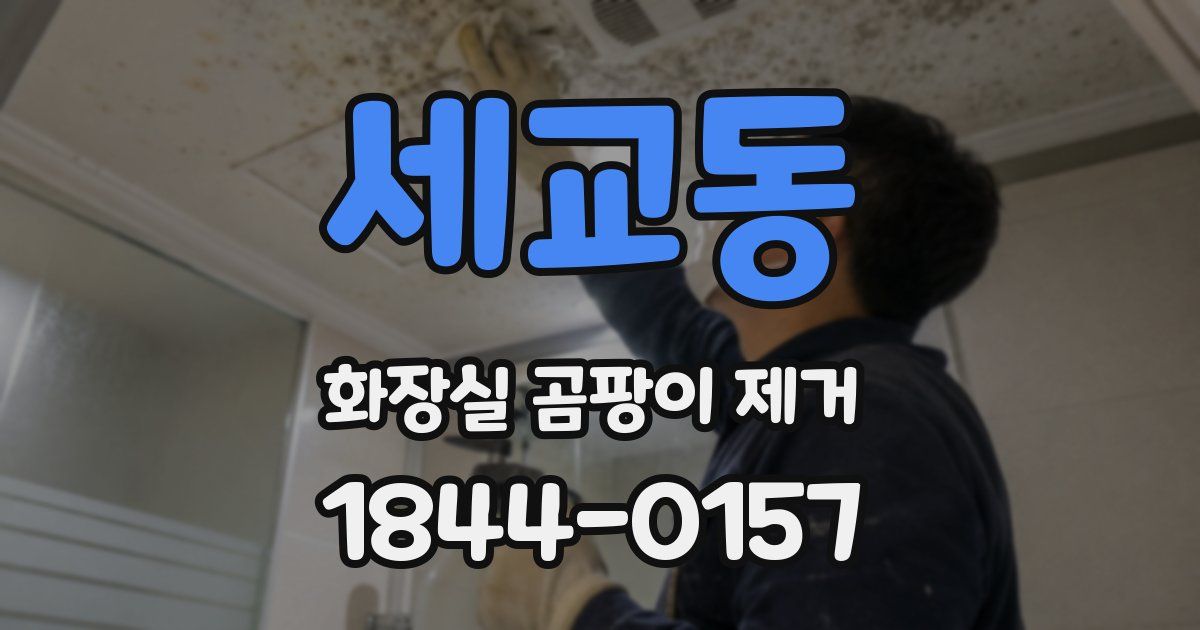 세교동 화장실 곰팡이 제거