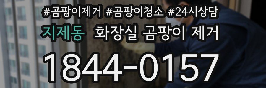 지제동 화장실 곰팡이 제거