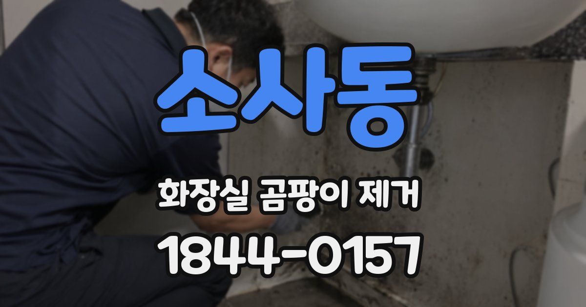 소사동 화장실 곰팡이 제거