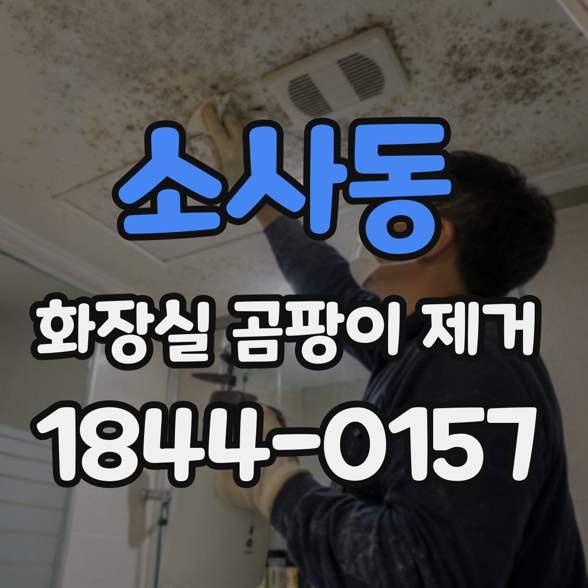 소사동 화장실 곰팡이 제거