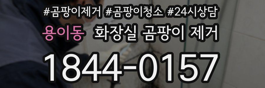 용이동 화장실 곰팡이 제거