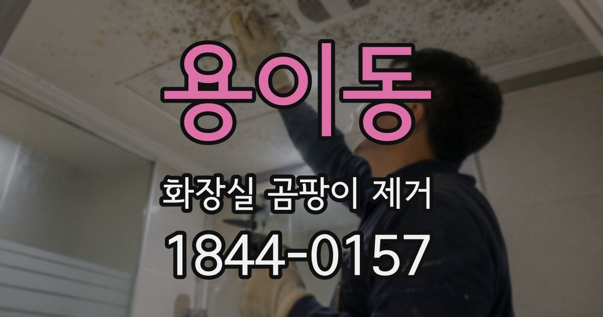 용이동 화장실 곰팡이 제거