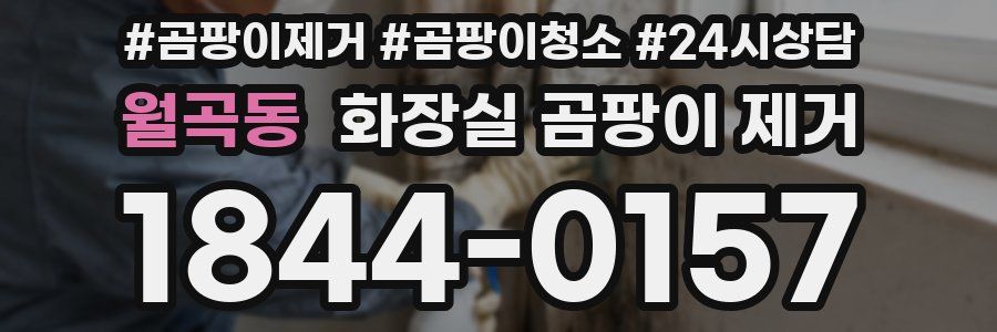 월곡동 화장실 곰팡이 제거