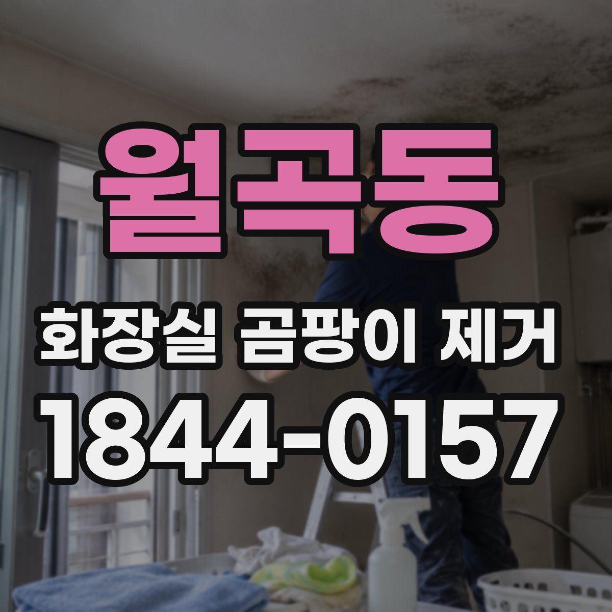월곡동 화장실 곰팡이 제거