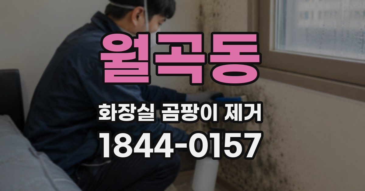 월곡동 화장실 곰팡이 제거