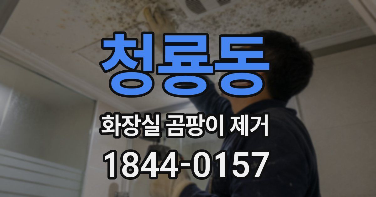 청룡동 화장실 곰팡이 제거