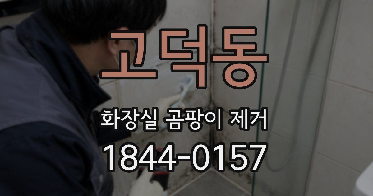 고덕동 화장실 곰팡이 제거