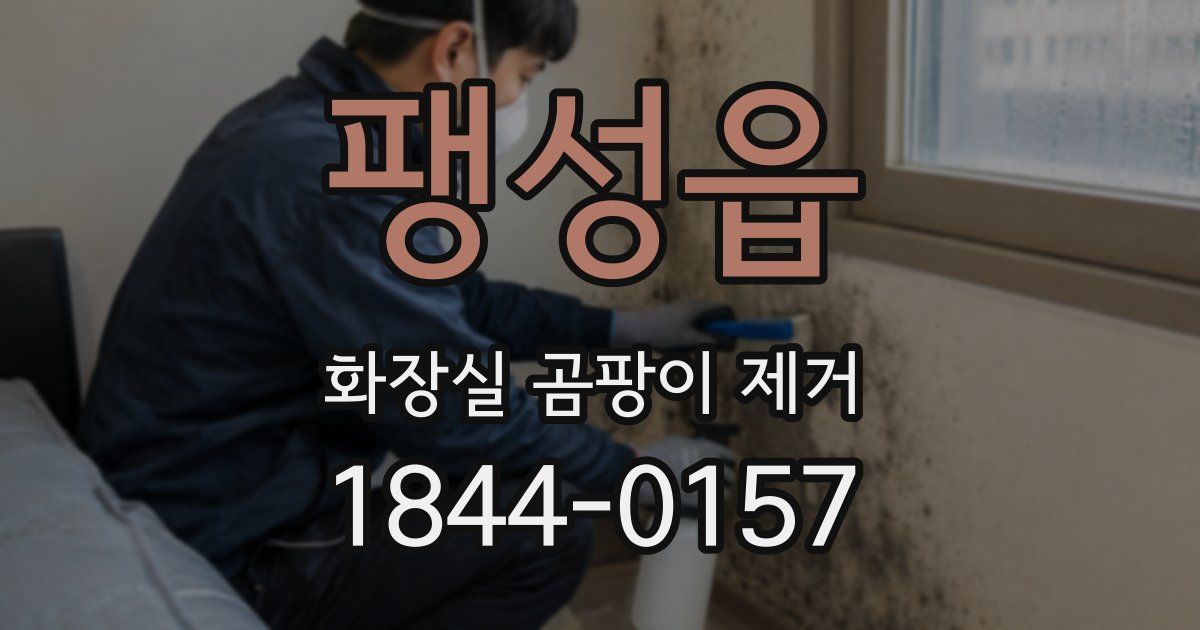 팽성읍 화장실 곰팡이 제거
