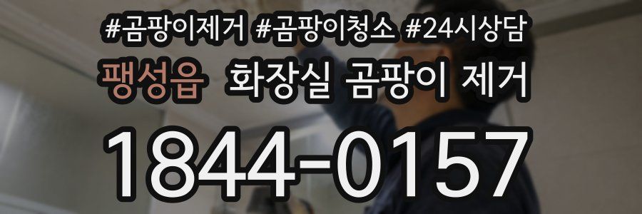 팽성읍 화장실 곰팡이 제거