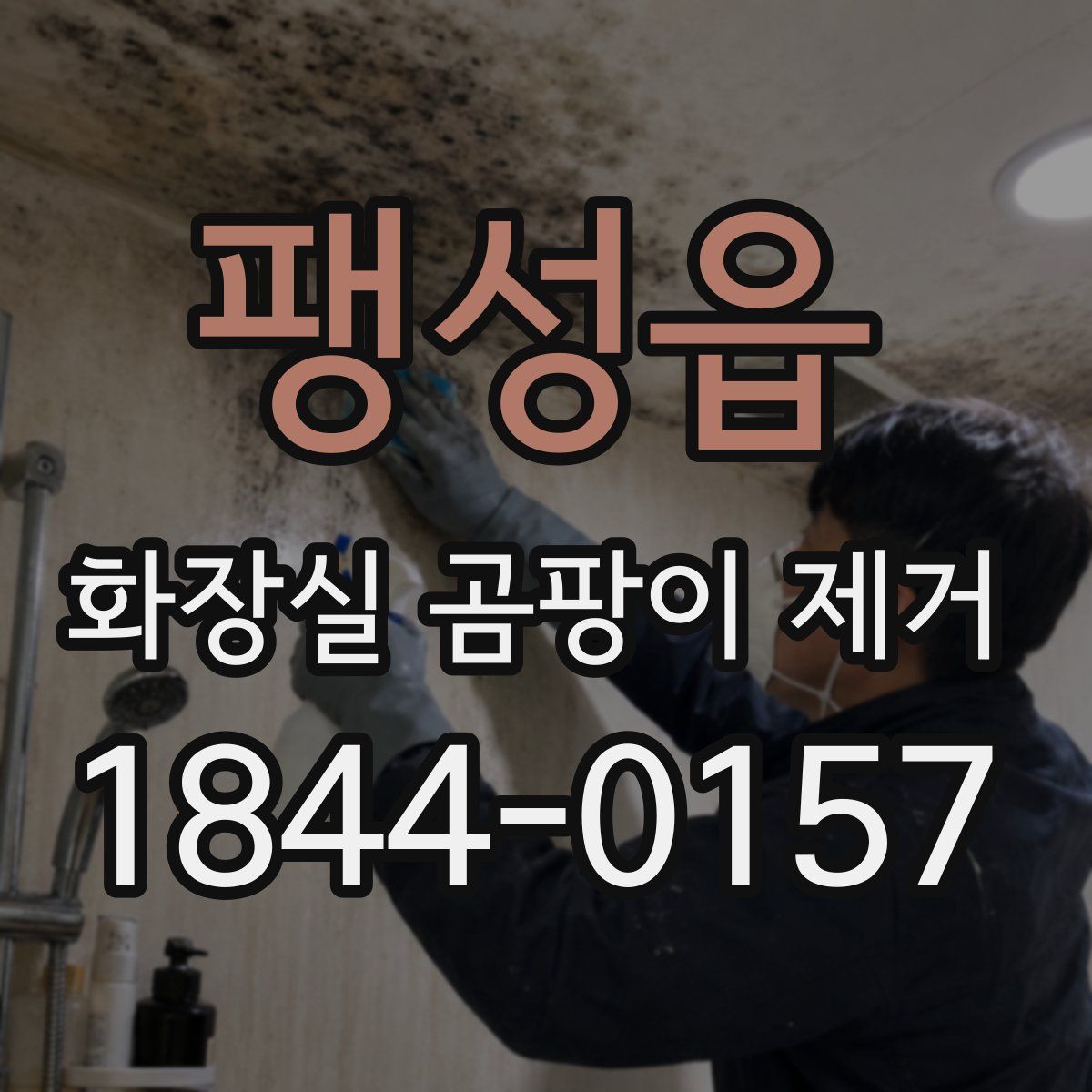 팽성읍 화장실 곰팡이 제거