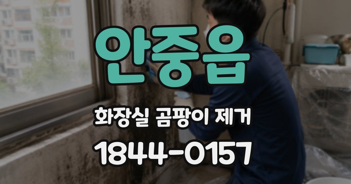 안중읍 화장실 곰팡이 제거