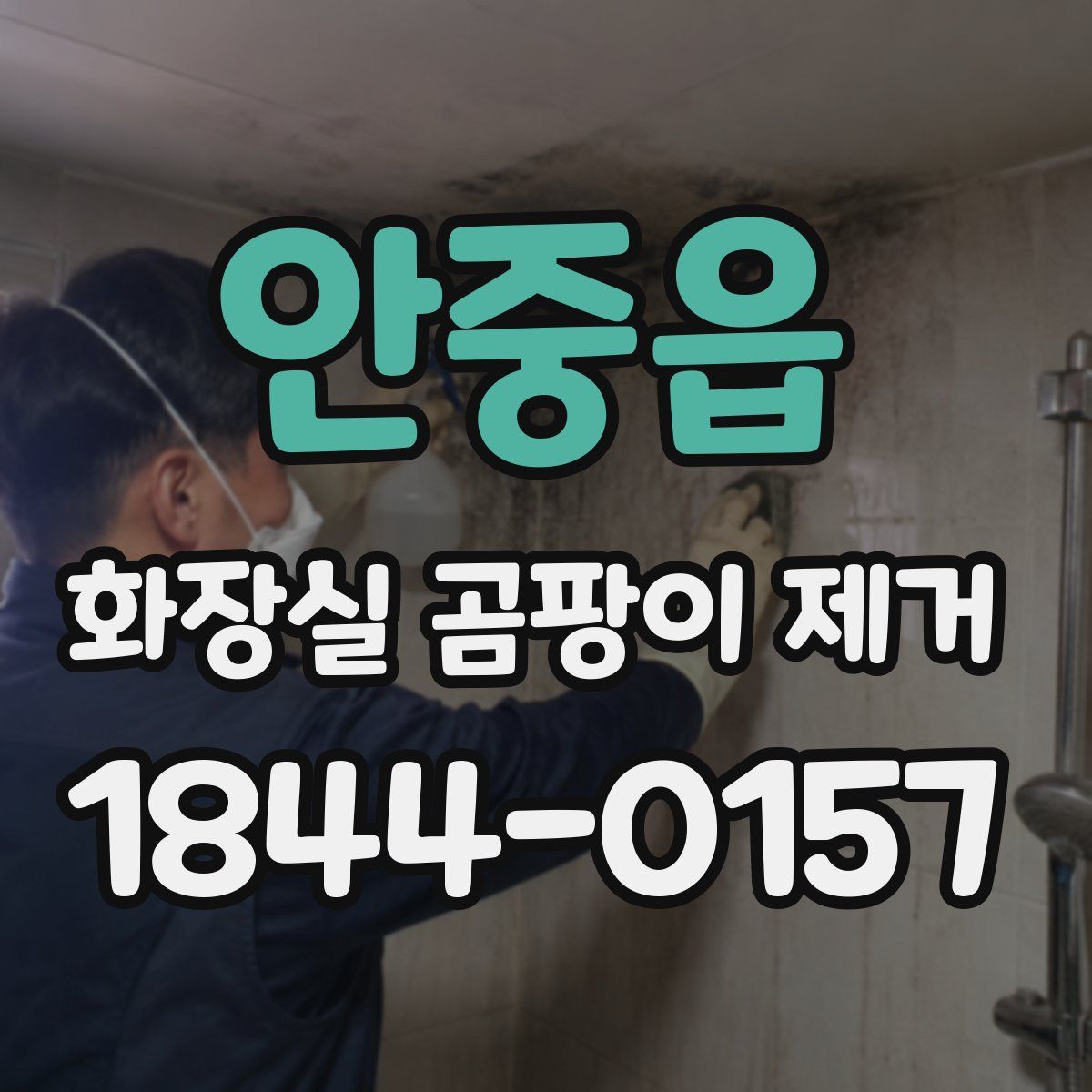 안중읍 화장실 곰팡이 제거