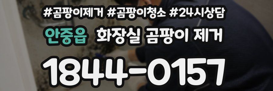 안중읍 화장실 곰팡이 제거