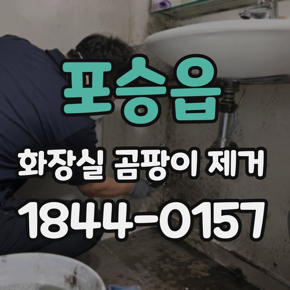 포승읍 화장실 곰팡이 제거 세제 선택 전에 확인할 표면 상태