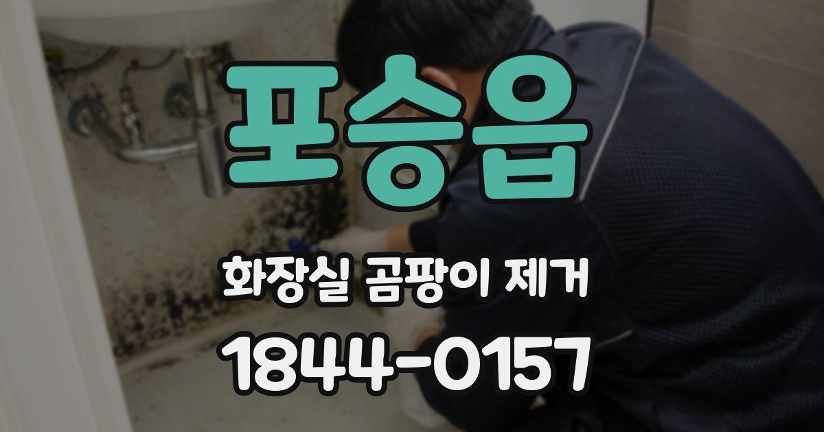 포승읍 화장실 곰팡이 제거