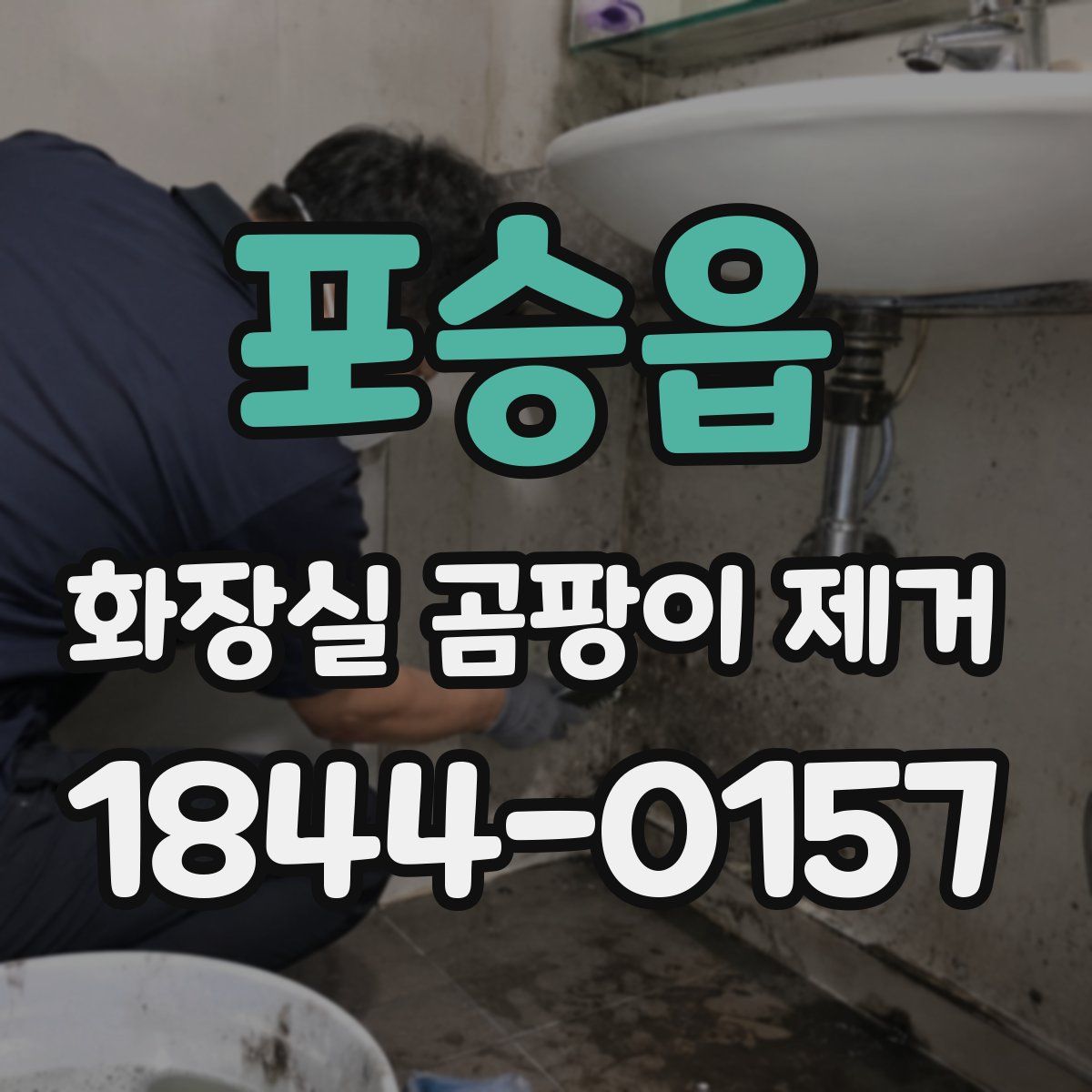 포승읍 화장실 곰팡이 제거
