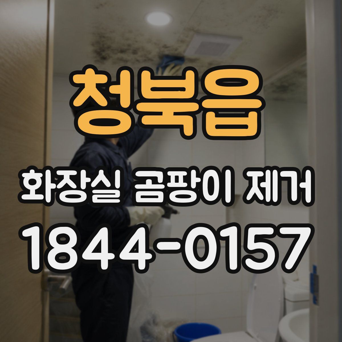 청북읍 화장실 곰팡이 제거