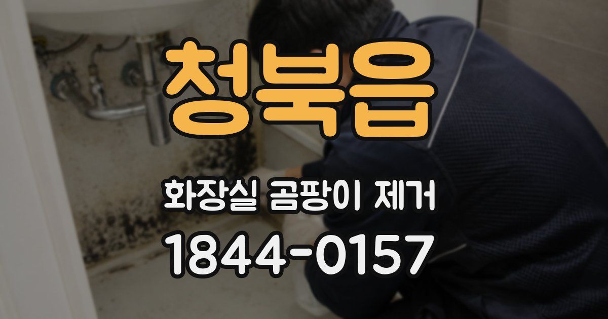 청북읍 화장실 곰팡이 제거