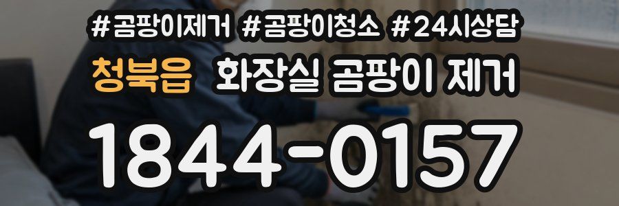 청북읍 화장실 곰팡이 제거