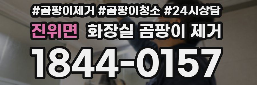 진위면 화장실 곰팡이 제거
