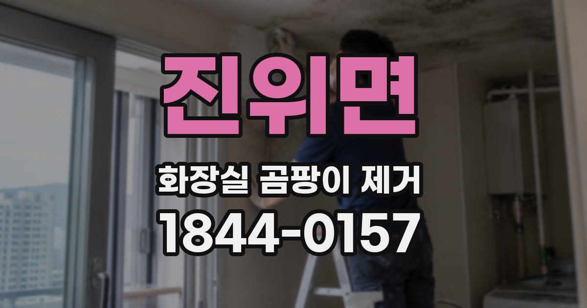 진위면 화장실 곰팡이 제거
