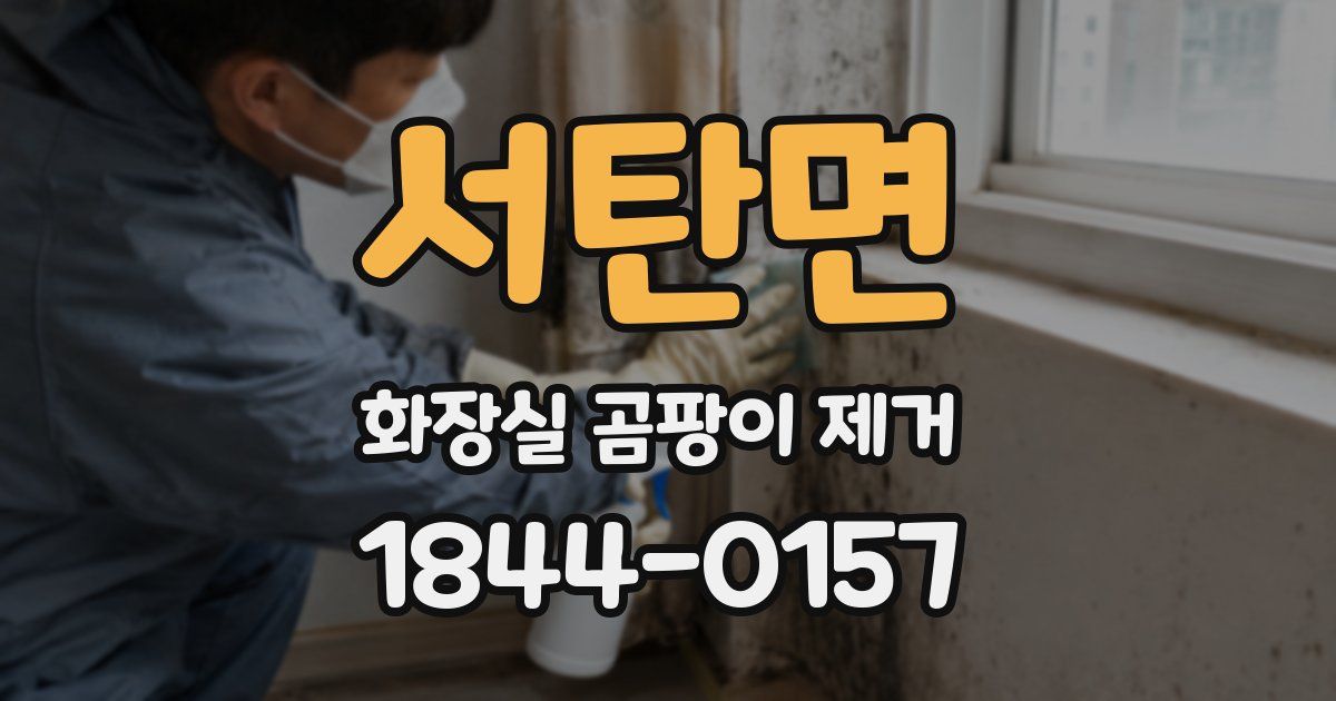서탄면 화장실 곰팡이 제거